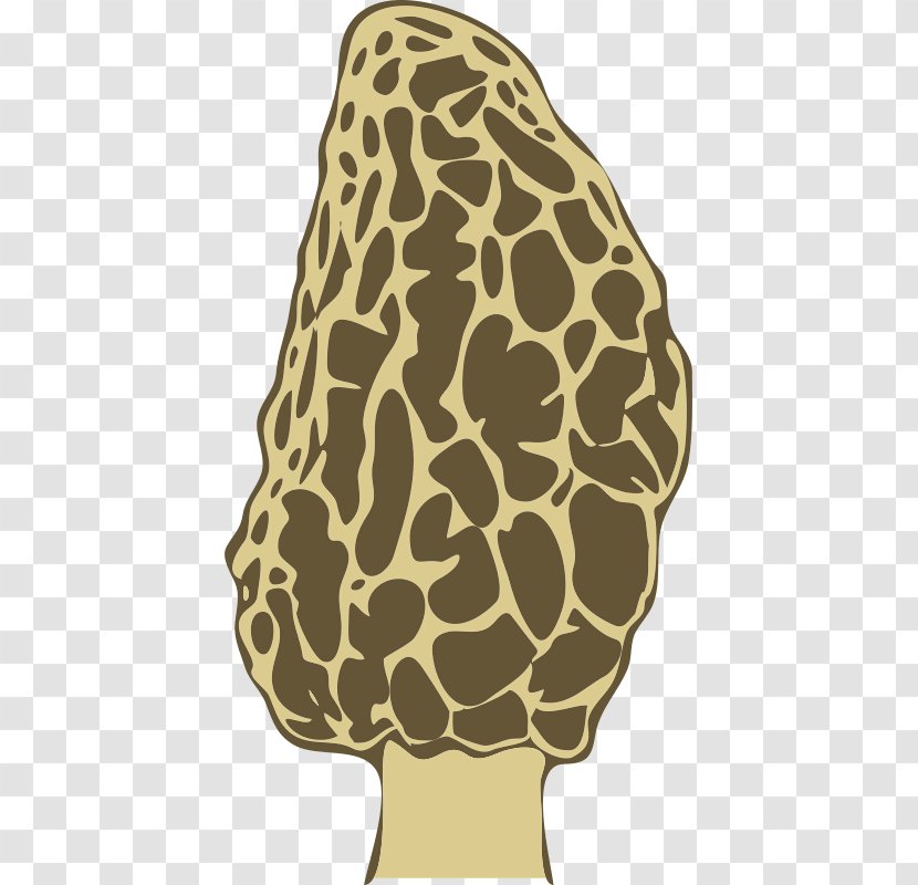 Yellow Morel Mushroom Fungus Giraffe False - True Morels Transparent PNG