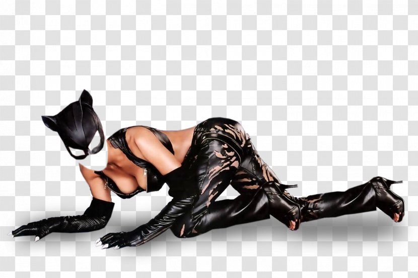 Costume Computer Software - Adobe Systems - Catwoman Transparent PNG