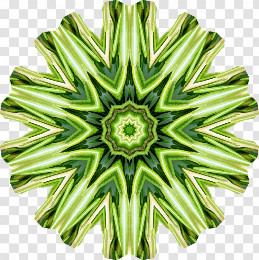 Kaleidoscope Clip Art - Microsoft Paint - Rosemary Transparent PNG