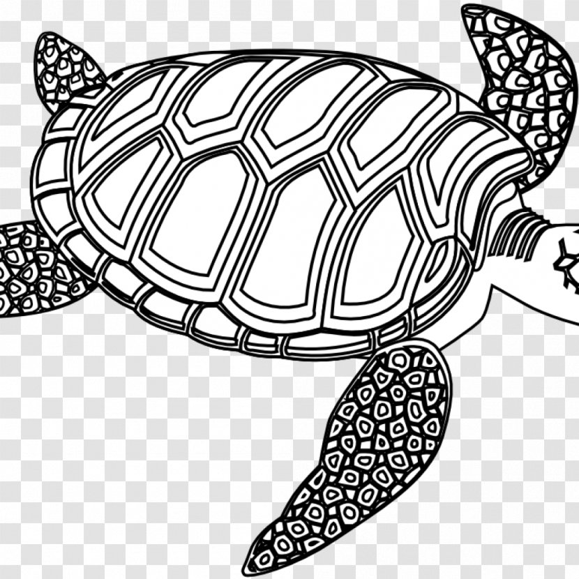 Sea Turtle Clip Art Reptile - Blackandwhite - Seabuckthorn Vegetarian Food Transparent PNG