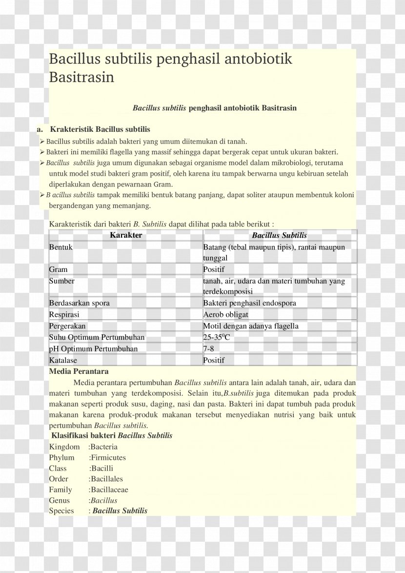 Document Line - Paper - Subtilis Transparent PNG