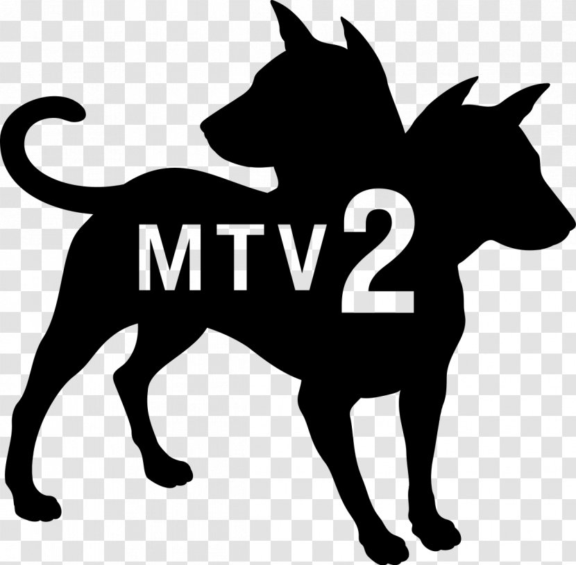 MTV2 Viacom Media Networks Television Channel Logo TV - Tv - Internet Transparent PNG