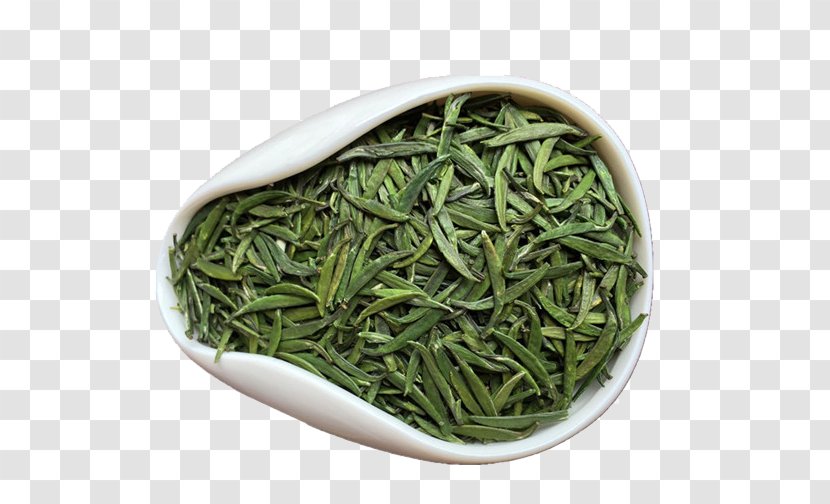 Green Tea Xinyang Maojian Iced - Huangshan Maofeng - Mountain Transparent PNG