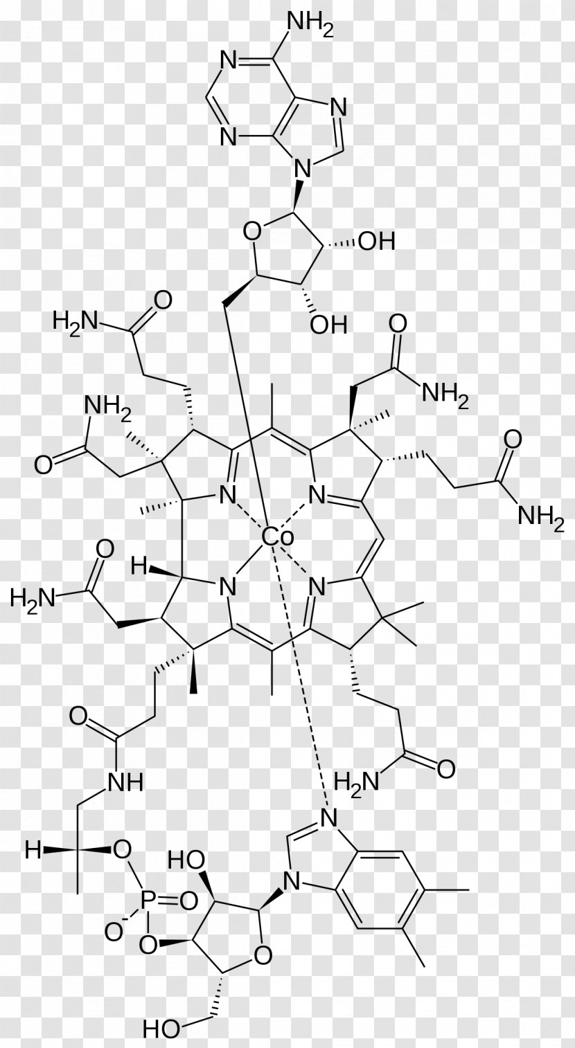 Dietary Supplement Vitamin B-12 Methylcobalamin Adenosylcobalamin Cyanocobalamin - Diagram - Nosy Transparent PNG