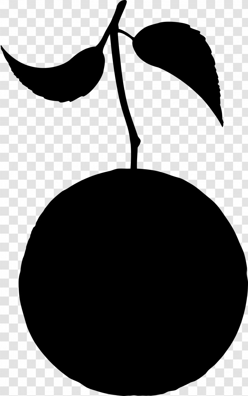 Clip Art Fruit Silhouette Flowering Plant Leaf - Blackandwhite - Woody Transparent PNG