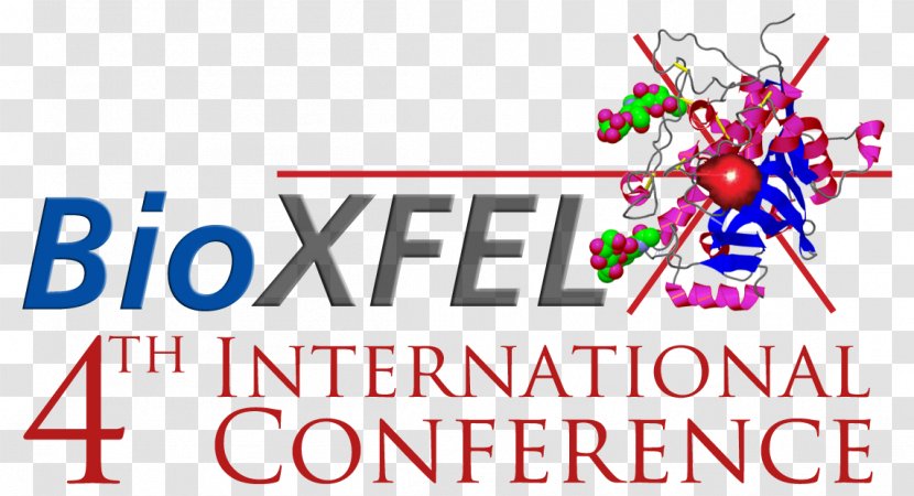 University At Buffalo Georgia State Diffraction Methods In Structural Biology (GRS) - International Meeting Transparent PNG