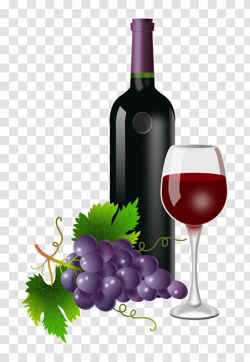 Red Wine Common Grape Vine Champagne Beer - Grapevine Family Transparent PNG