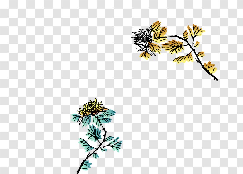 Ink Wash Painting Watercolor - Plant - Chrysanthemum Transparent PNG