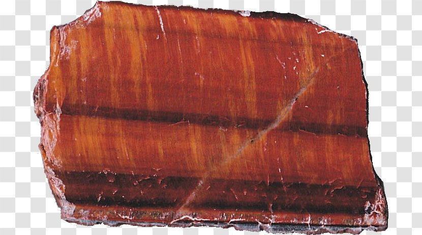 Petrified Wood Agate Jasper /m/083vt - Slab Transparent PNG