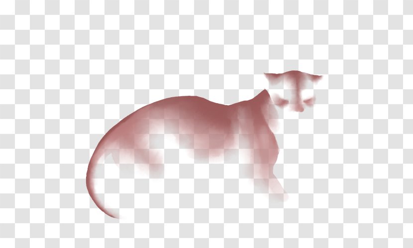 Whiskers Kitten Balinese Cat Domestic Short-haired Cheetah - Sendspace Transparent PNG