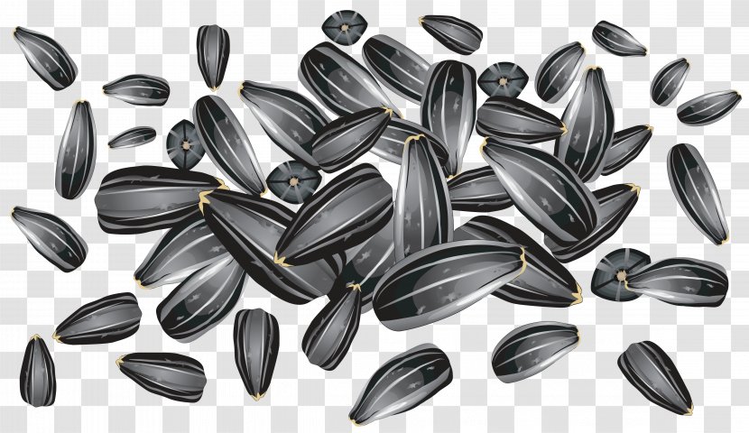 Sunflower Seed Common Clip Art - Oil - Seeds Clipart Picture Transparent PNG