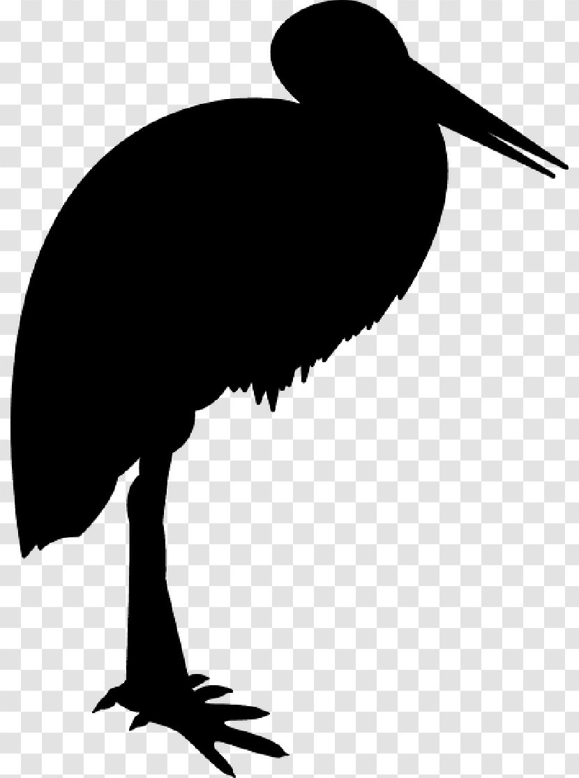 Clip Art Water Bird Performing Arts - Silhouette - Beak Transparent PNG