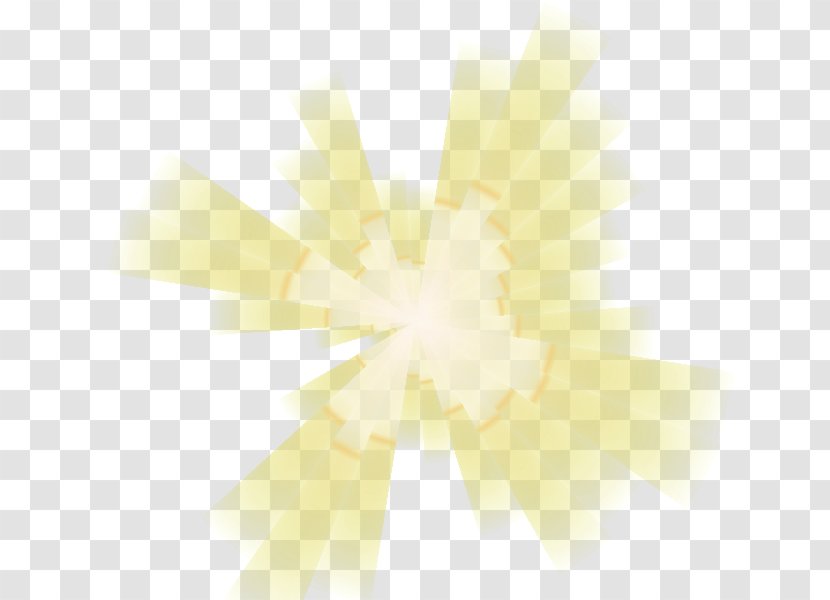Desktop Wallpaper Sunlight Close-up Computer - Alli Transparent PNG