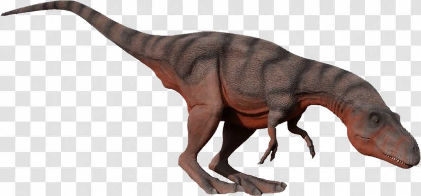 Tyrannosaurus Albertosaurus Moab Giants Dinosaur - Celebrity Transparent PNG