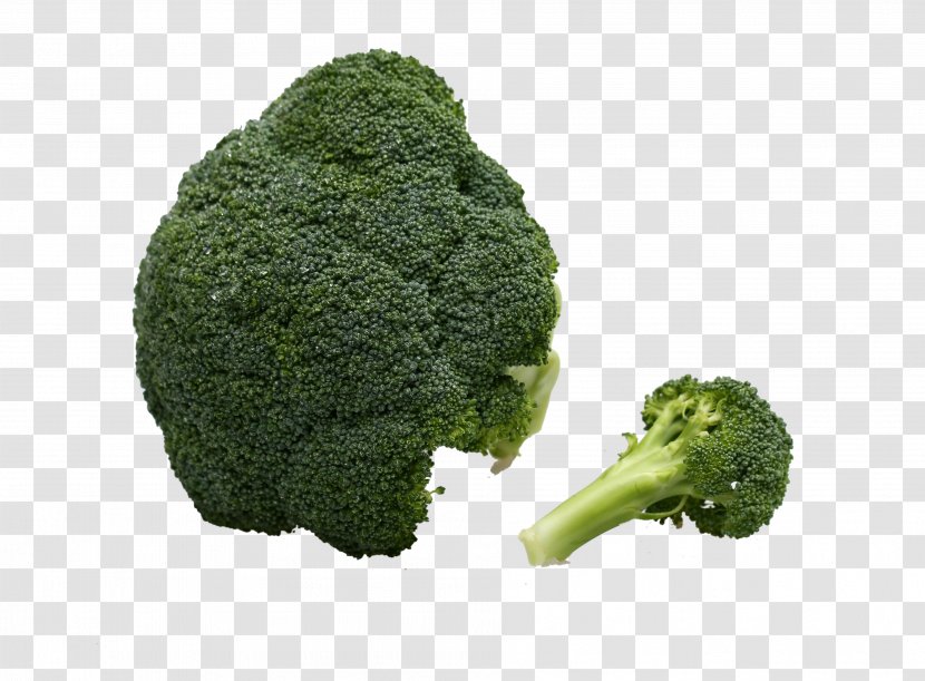 Broccoli Vegetable Immune System - Leaf - Green Vegetables Transparent PNG