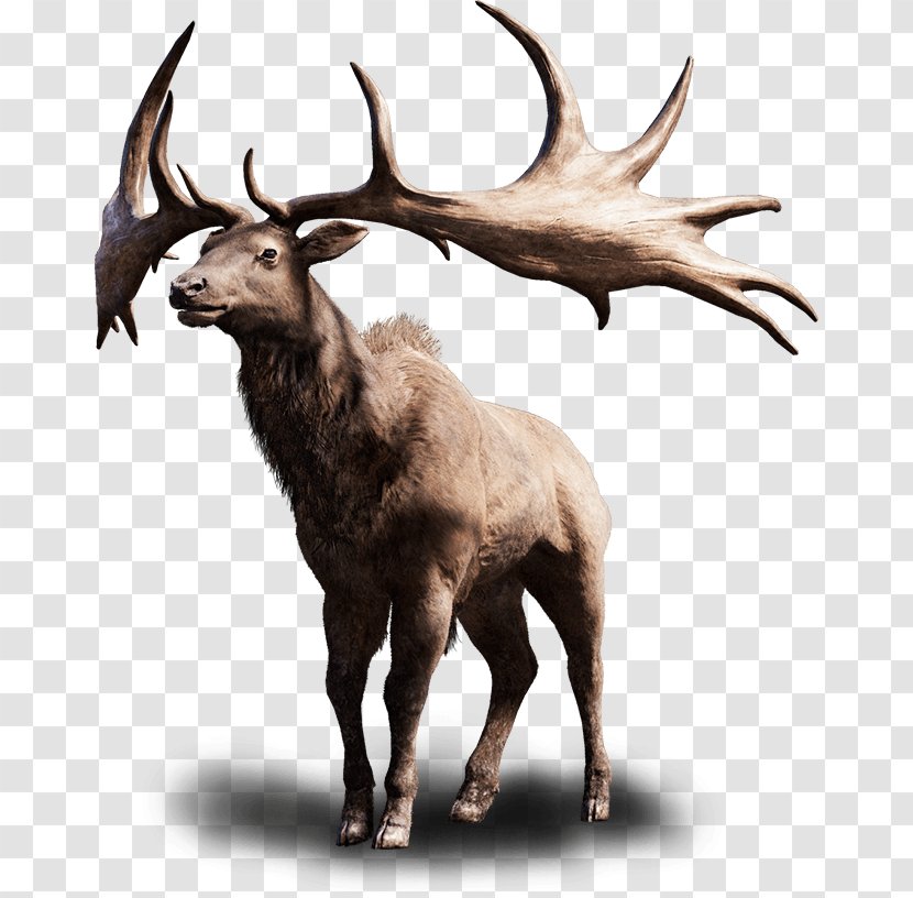 Far Cry Primal Irish Elk 4 PlayStation - 5 - Animal Hair Transparent PNG