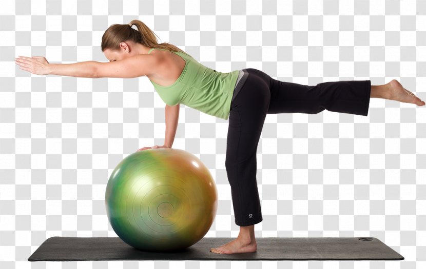 Exercise Balls Pilates Hatha Yoga Nidra - Abdomen Transparent PNG