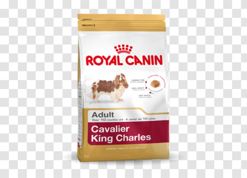 Cavalier King Charles Spaniel English Cocker Poodle Dog Food - Pet Transparent PNG