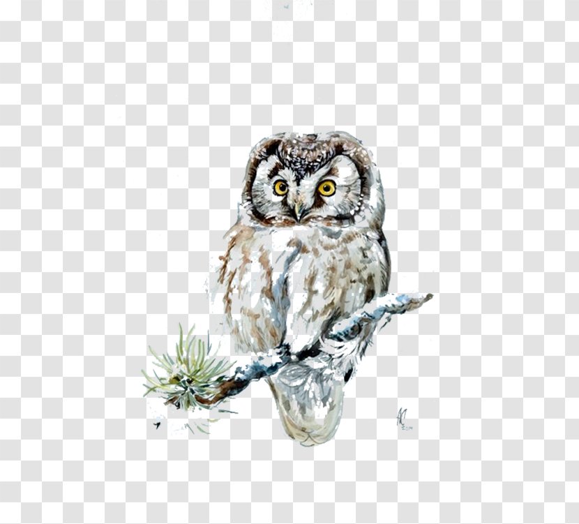 Owl 54 Cards Snow Download - Grey Transparent PNG