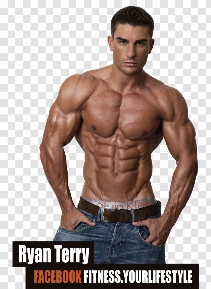 Human Body Muscle Bodybuilding Abdomen Bodies: The Exhibition - Frame - Terry Transparent PNG