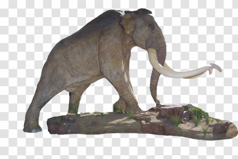 Indian Elephant African Mammoth Lakes Tusk Sculpture - Fauna - Moi Day Transparent PNG