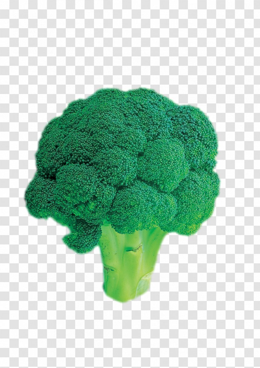 Broccoli Vegetable - Flowerpot Transparent PNG