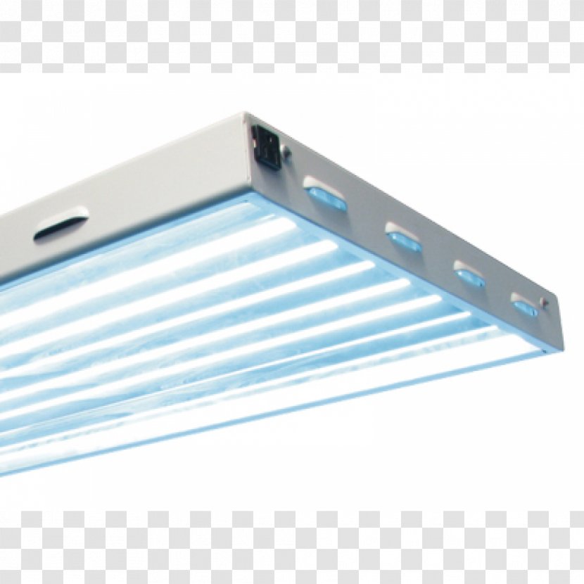 Grow Light Fluorescent Lamp Fixture Lighting Transparent PNG