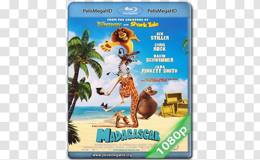 Film Poster DreamWorks Animation Madagascar - Mammal - Gloria Transparent PNG