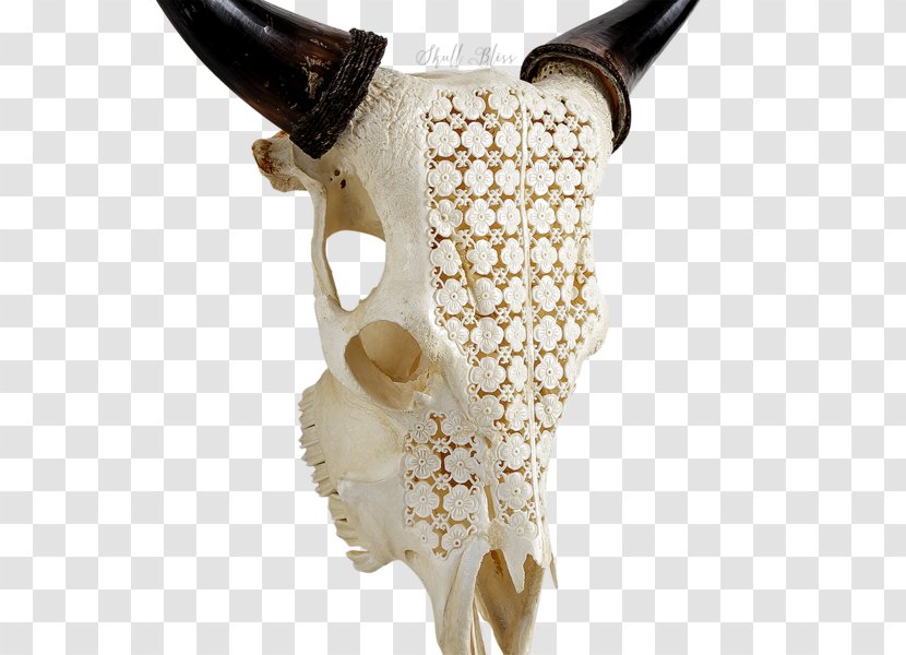 Skull Flower Garden Bone Horn - Xl Horns Transparent PNG