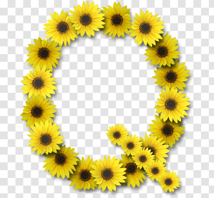 Letter Case Alphabet Clip Art Common Sunflower - T Transparent PNG