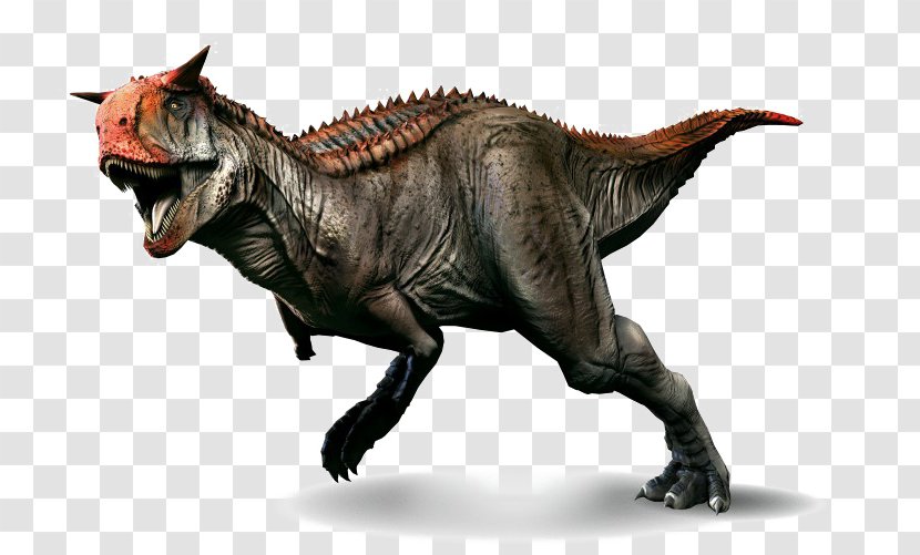 Carnotaurus Primal Carnage: Extinction Velociraptor Tyrannosaurus - Cryolophosaurus - Dinosaur Transparent PNG