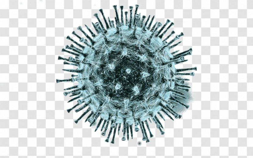 Virus Viral Vector Clip Art - Digital Image - Organism Transparent PNG