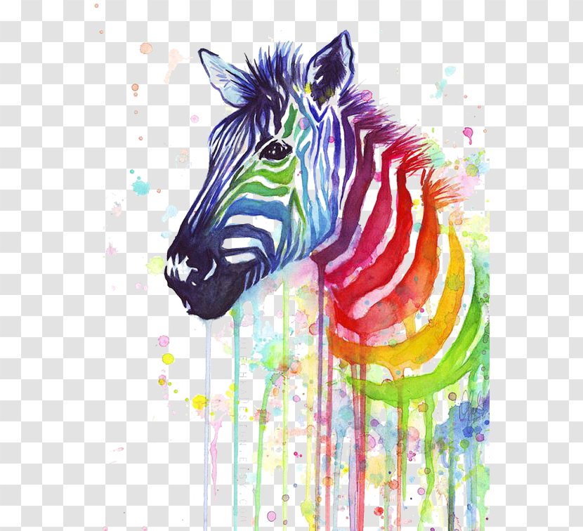 T-shirt Zebra Paper Painting Rainbow - Paint - Color Splash Transparent PNG