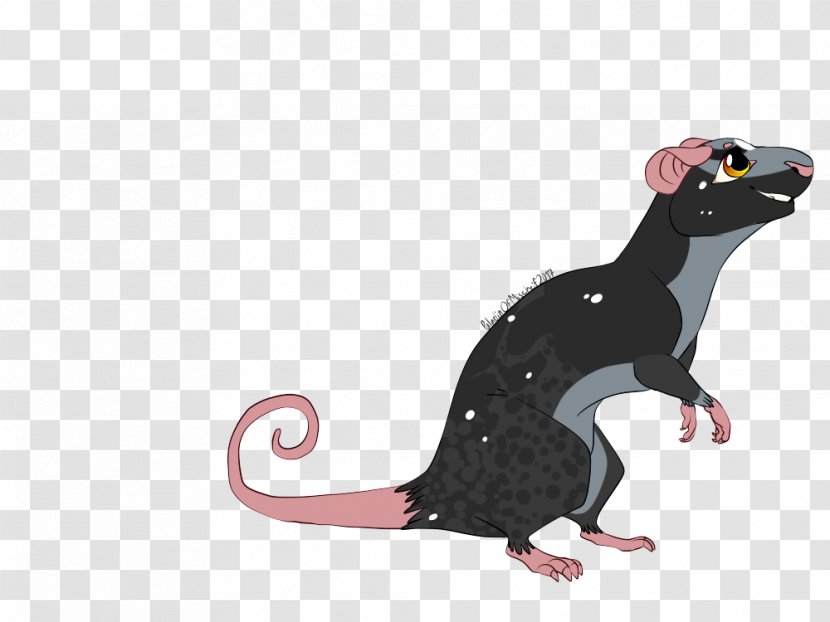 Rat Mouse Reptile Muroidea Animal - Tail - & Transparent PNG