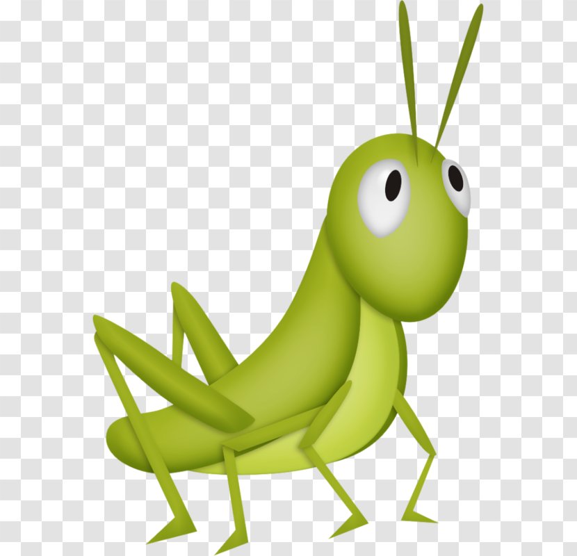 Insect Grasshopper Clip Art - Fauna - Cartoon Painted Green Transparent PNG