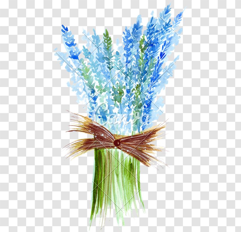 Drawing Lavender Illustration Watercolor Painting Image - Grass - Bouquet Transparent PNG