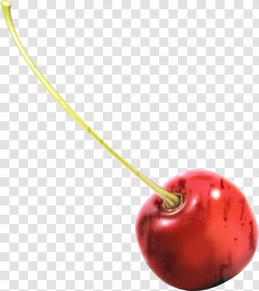 Body Jewellery Cherry - Fruit - Necklace Drupe Transparent PNG