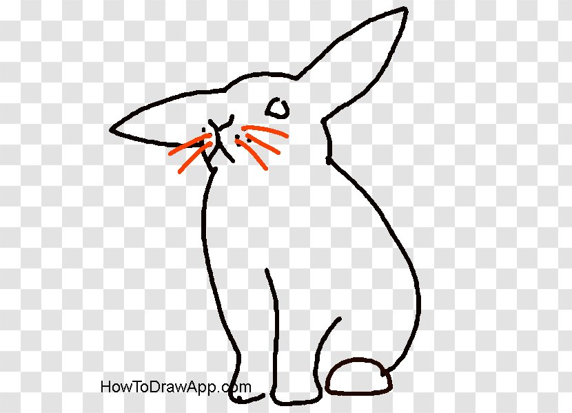 Domestic Rabbit Whiskers Hare Bugs Bunny - Painting - Drawing Transparent PNG
