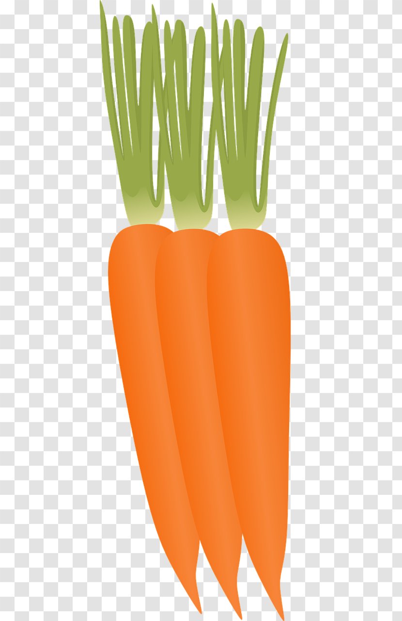 Baby Carrot Vegetable Food - Remedies Transparent PNG