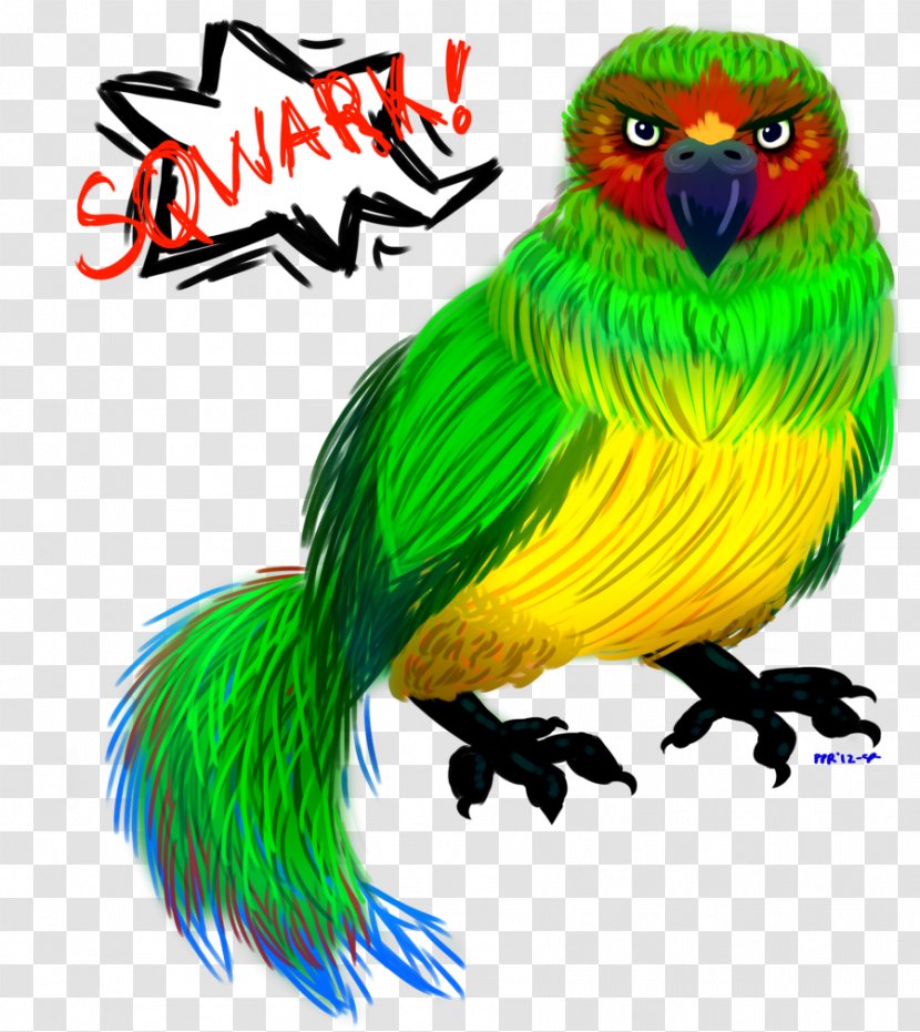 Lovebird Macaw Parakeet Beak Feather - Common Pet Transparent PNG
