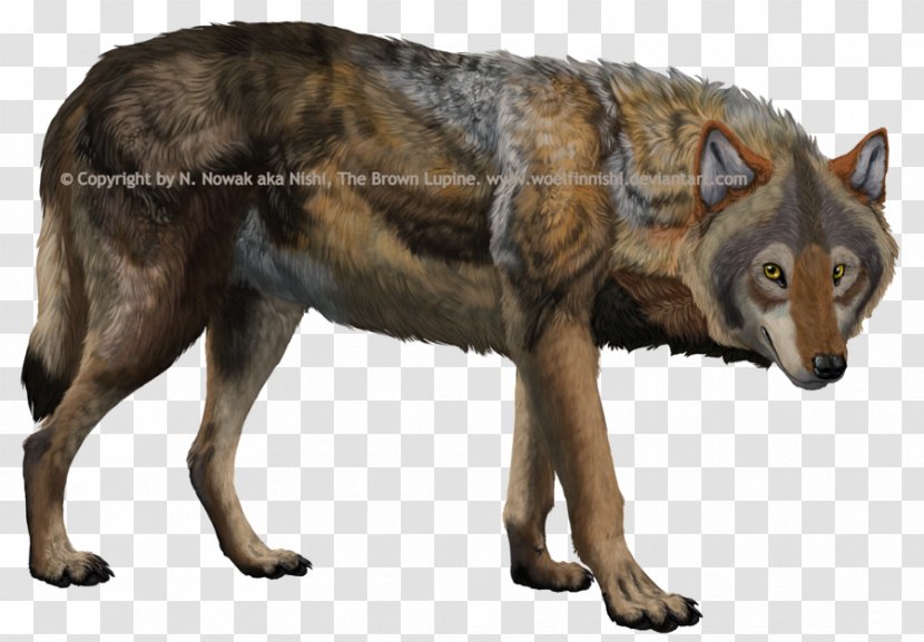 Kunming Wolfdog Coyote Canidae Art - Fur - Watercolor Wolf Transparent PNG