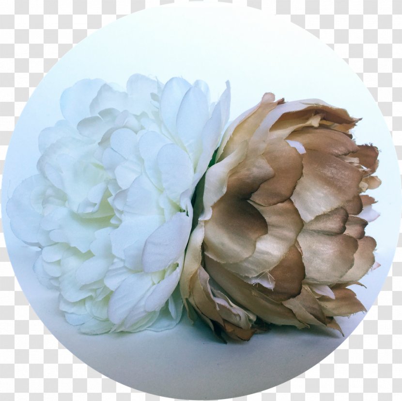 Peony Cut Flowers Petal - Flowering Plant Transparent PNG