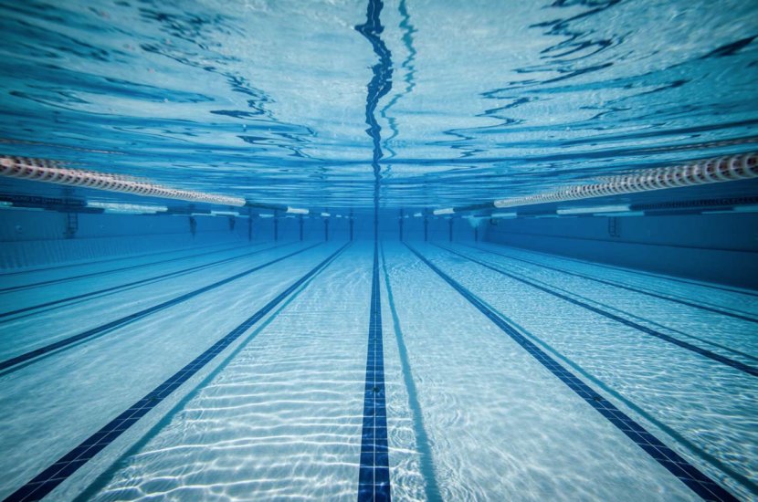 Sports Association Swimming Ches-Mont League Athlete - Coach - Pool Transparent PNG
