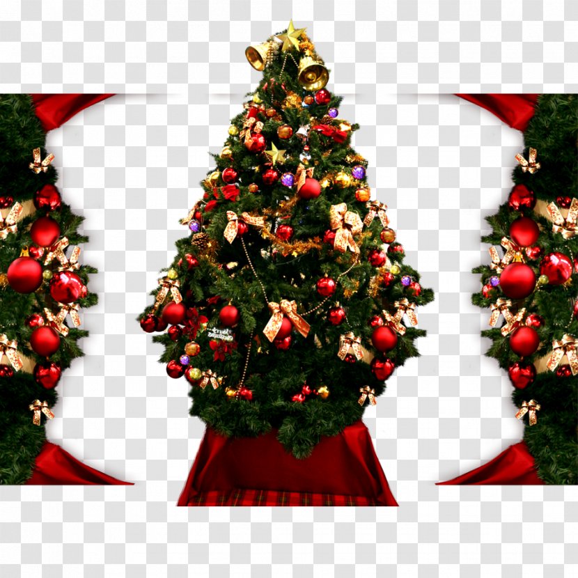 Christmas Tree Ornament Decoration - Fir Transparent PNG