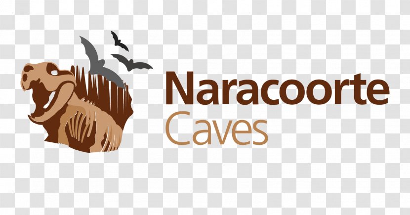 Naracoorte Caves Nambung National Park Narawntapu Litchfield - Chocolate Transparent PNG
