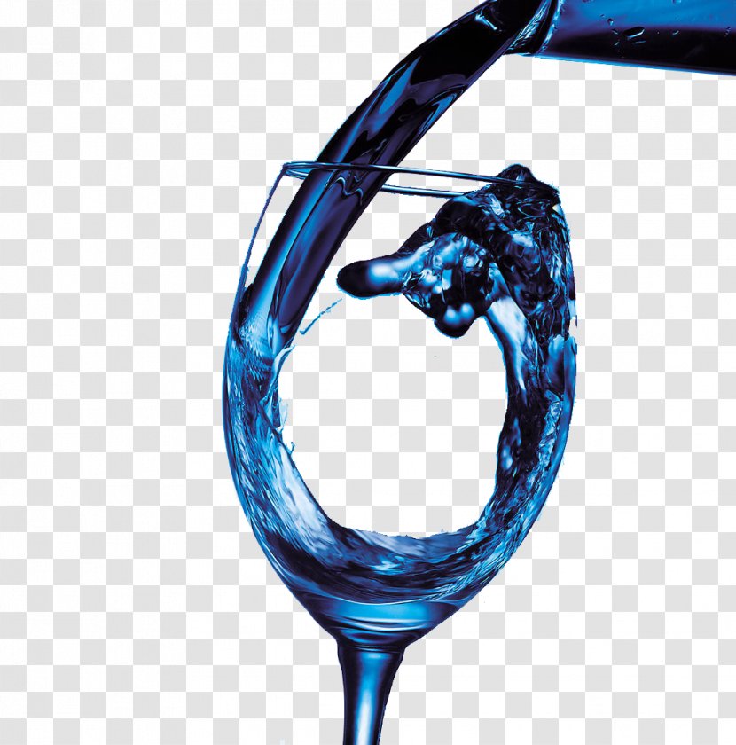 Wine Grape Drawing Photography Illustration - Deep Blue Transparent PNG