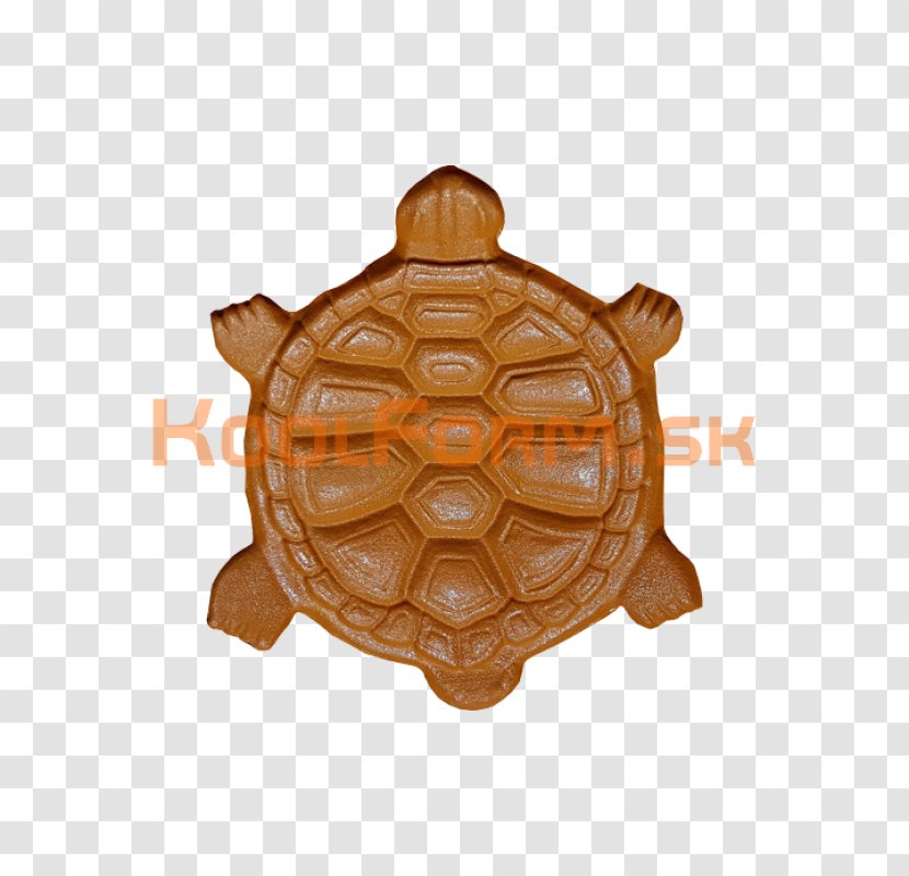 Turtle Tortoise Testudo Formation Postage Stamps Paper Embossing - Soap Transparent PNG