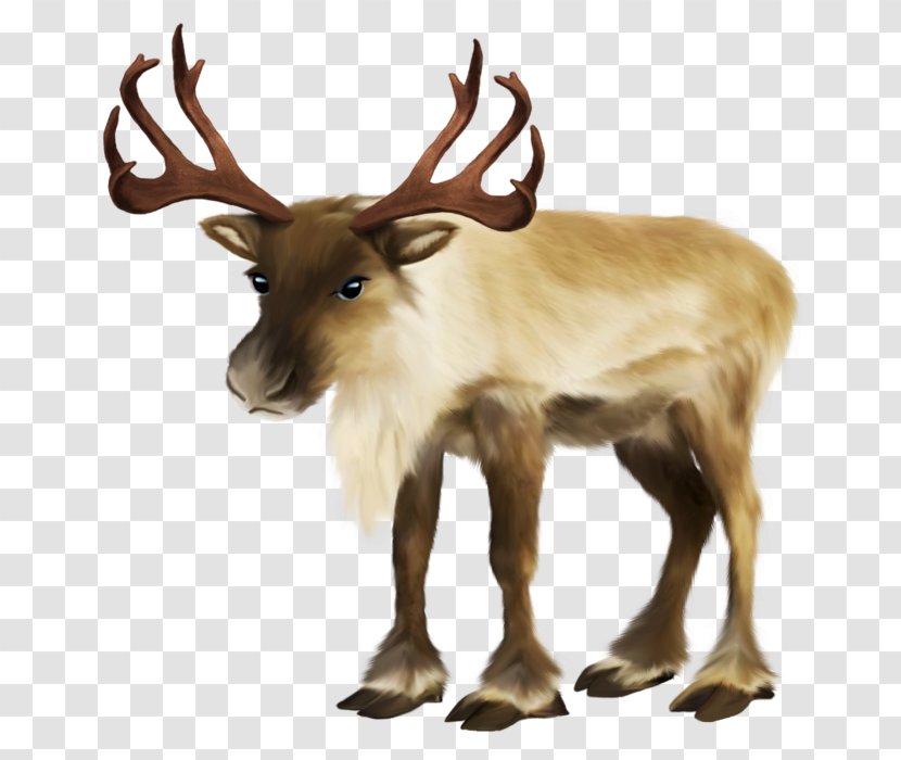 Santa Claus Rudolph Reindeer Sled - Fauna Transparent PNG