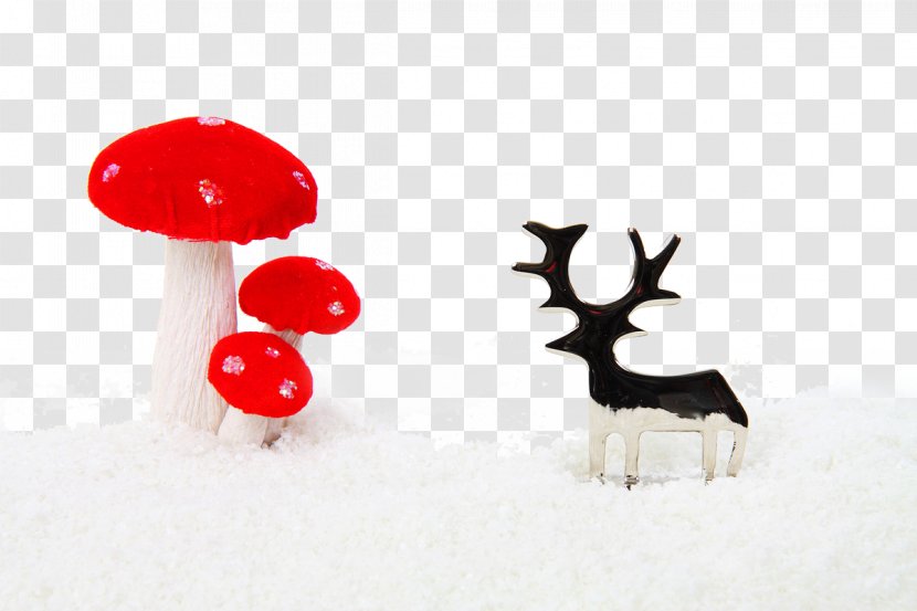 Christmas Decoration Ornament Pixabay - Creative Holiday Transparent PNG
