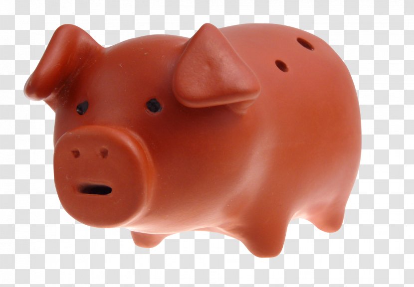 Snout Piggy Bank - Mammal - Pig Transparent PNG